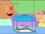 Replay Peppa Pig - Le concours d'animaux