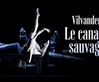 Replay Vildanden - Le Canard sauvage