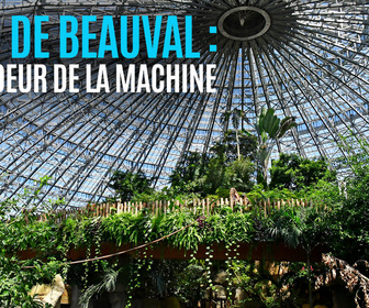 Replay Zoo de Beauval : au coeur de la machine