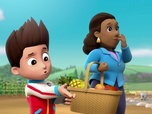 Replay Paw Patrol, la Pat'Patrouille - Le Festival de la Confiture