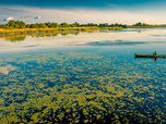 Replay Documentaire nature - 13/10/2025