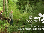 Replay L'Alsace insolite - 30/04/2026