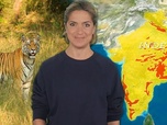 Replay COP Biodiversité : peut-on encore sauver les animaux ? - Le dessous des cartes - L'essentiel