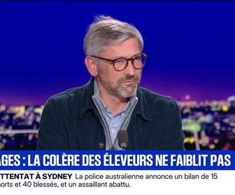 Replay BFM Grand Soir - Abattages : la colère des éleveurs ne faiblit pas - 14/12
