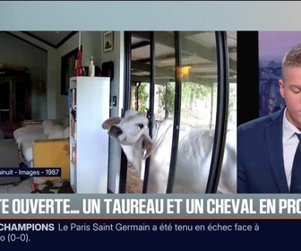 Replay BFM Première prématinale - Le break du jeudi 11 décembre