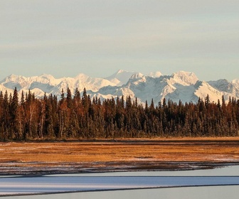 Replay Seuls face à l'Alaska - S4E10 - Une proie inhabituelle
