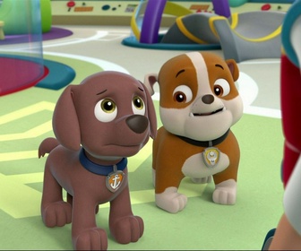 Replay Paw Patrol, la Pat'Patrouille - Joyeux Noël, les amis !