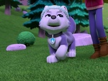 Replay Paw Patrol, la Pat'Patrouille - Une chatte citadine