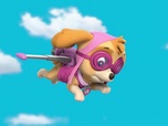 Replay Paw Patrol, la Pat'Patrouille - L'aigle à la patte ficelée