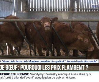 Replay 20H BFM - Le prix de la viande bovine explose, +20% en un an