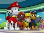Replay Paw Patrol, la Pat'Patrouille - La Pat'Patrouille contre le tartouragan