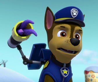 Replay Paw Patrol, la Pat'Patrouille - Des ours dans la ville
