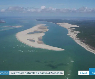 Replay On vous emmène ici - Les trésors naturels du bassin d'Arcachon