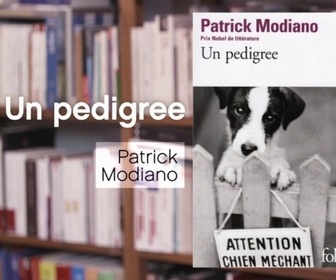 Replay La p'tite librairie - Un pedigree - Patrick Modiano