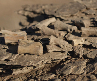 Replay Phénomènes vus de l'espace - S5E20 - Le village de l'apocalypse