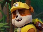 Replay Paw Patrol, la Pat'Patrouille - La catapulte à noix de coco