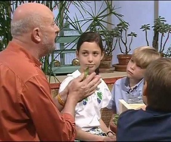 Replay Comment c'est fait ? - Le petit pois - Jean-Pierre Coffe