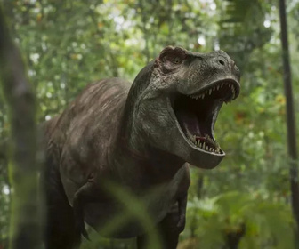 Replay Sur la terre des dinosaures - 17/10/2025