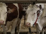 Replay Le doc du Mag santé - Émission du vendredi 18 juillet 2025