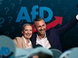 Replay Pourquoi la communication de l'AFD séduit les électeurs ?
