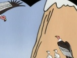 Replay Barbapapa autour du monde - S01 E07 - Les lamas