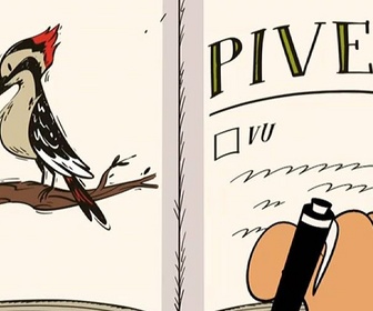 Replay Bienvenue chez les Casagrandes - Drôle d'oiseau