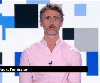 Replay Vrai ou faux, l'émission - Que veut Pierre-Édouard Stérin ?
