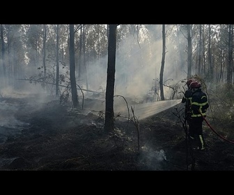 Replay Après le mégafeu en Gironde, les pompiers s'attendent à des mois de lutte contre les feux zombies