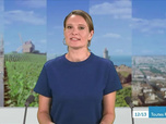 Replay ICI 12/13 édition toutes régions - Émission du jeudi 18 septembre 2025