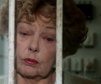 Replay Les enquêtes du commissaire Maigret - S19 E03