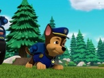 Replay Paw Patrol, la Pat'Patrouille - Une camionnette incontrôlable