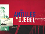 Replay La case du siècle - Des Antilles au djebel : les Antillais dans la guerre d'Algérie
