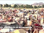 Replay Journal de l'Afrique - Soudan : de plus en plus de cas de malnutrition sévère au Darfour et au Kordofan