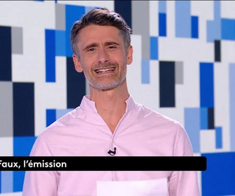 Replay Vrai ou faux, l'émission - Les intox des politiques