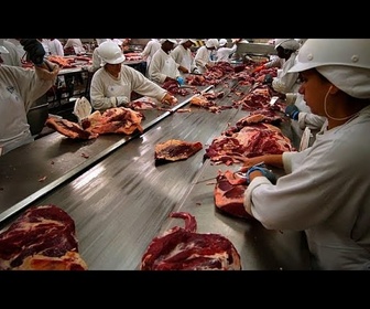 Replay L'accord UE - Mercosur va-t-il introduire des aliments toxiques dans nos assiettes ?