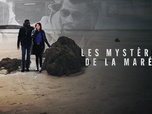 Replay Meurtres à... - Les mystères de la marée