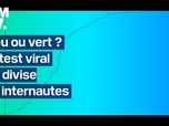 Replay L'image du jour - Un test pour déterminer la couleur du turquoise divise les internautes et devient viral