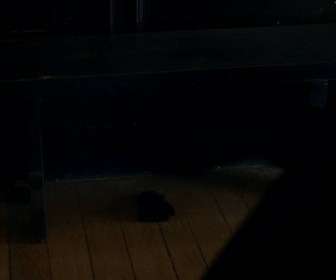 Replay Miniaturiste - Épisode 3