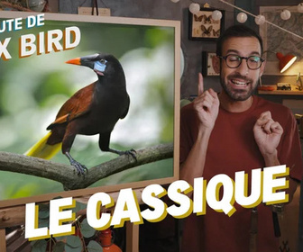 Replay La minute de Max Bird - Le Cassique