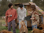 Replay Un si grand soleil - Épisode du mercredi 16 juillet 2025