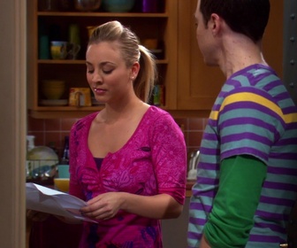 Replay The Big Bang Theory - S2E13 - L'algorithme de l'amitié