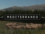 Replay Mediterraneo - En Grèce, regard sur le fromage de l'Ile de Céphalonie
