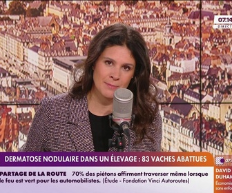 Replay Apolline Matin - Émission du 3 décembre 2025