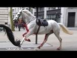 Replay Wild West à Londres: chevaux militaires se déchaînent, blessant quatre personnes