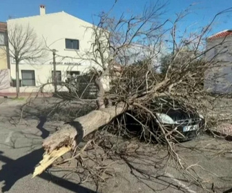 Replay C dans l'air - 13/02/2026