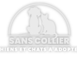 Replay Sans collier : chiens et chats à adopter - E1 - Mission adoption
