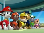 Replay Paw Patrol, la Pat'Patrouille - Le bébé chauve-souris