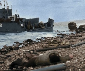 Replay D-DAY, 100 jours pour la liberté - La bataille des plages