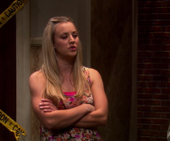 Replay The Big Bang Theory - S4E9 - Un petit ami d'emprunt !