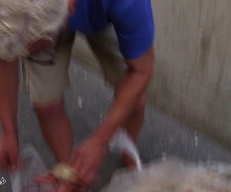 Replay Ma vie de radin - S3E10 - Festin ou famine